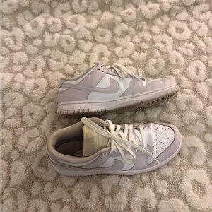 woman’s size 10 dunks